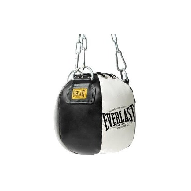 Everlast sac de frappe best sale sur pied