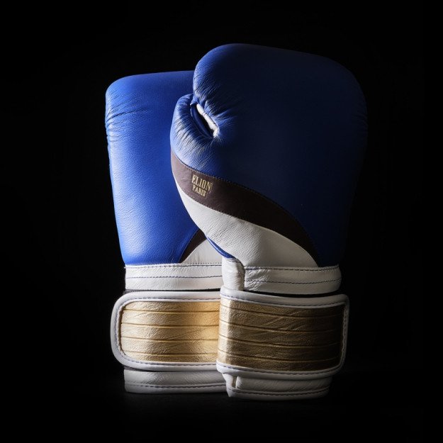 Gants de Boxe – Dragon Bleu