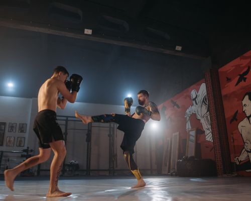 Gants de boxe entraînement mixte